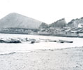 昭和30年代　姪浜中学校裏の海岸　海苔の養殖が行われていた