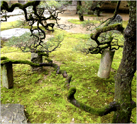 ������ЃG�k��f�B��G�X�e���R��